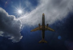 2026世界杯官方吉祥物“塔利斯”限量版手办为何在中国市场卖断货？